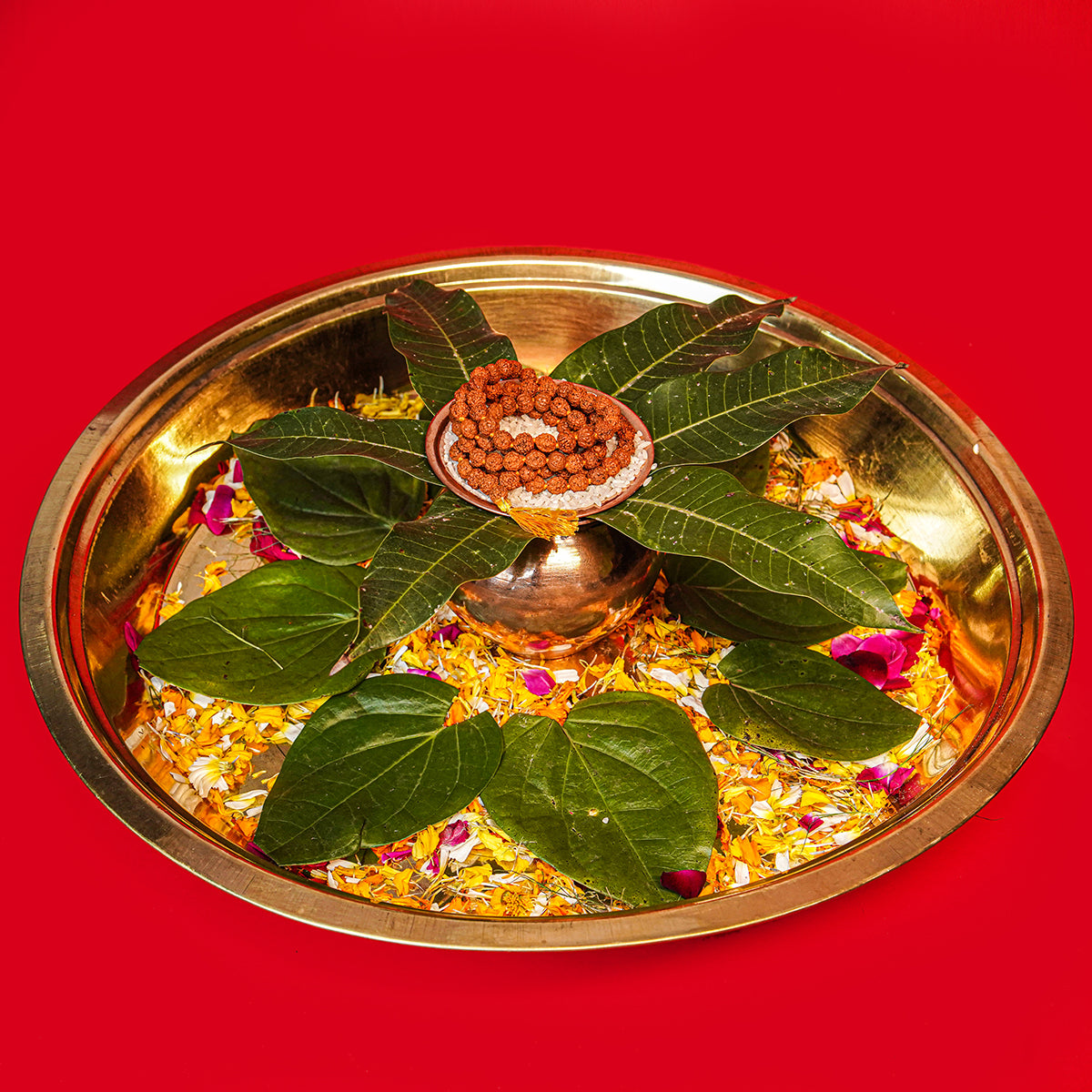 Panchmukhi Rudraksha Mala Abhimantrit in Kashi