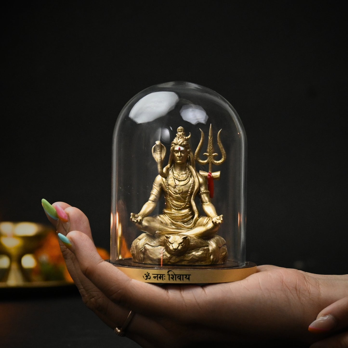 Mahdev Dhyan Swaroop Pran Prathishthit Pratima