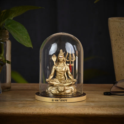 Mahdev Dhyan Swaroop Pran Prathishthit Pratima