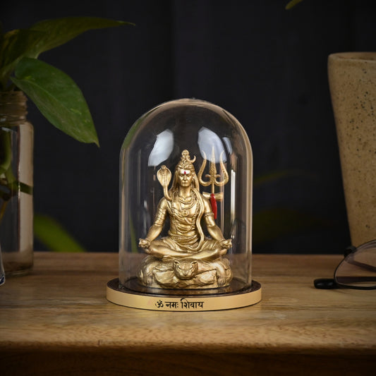 Mahdev Dhyan Swaroop Pran Prathishthit Pratima