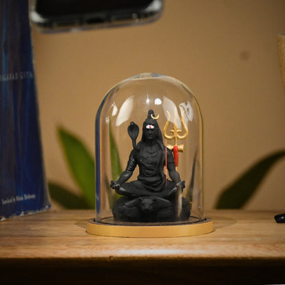 Mahdev Dhyan Swaroop Pran Prathishthit Pratima