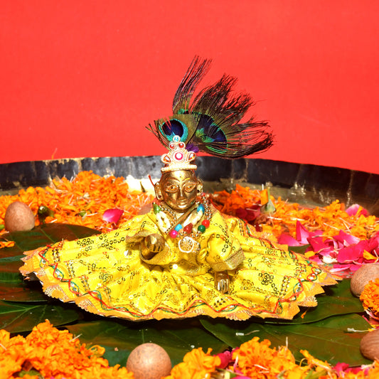 Prana Pratishthit Laddu Gopal Idol from Vrindavan