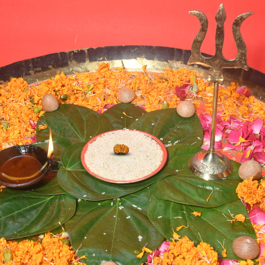 Gauri Shankar Rudraksha Abhimantrit in Triyuginarayan Temple