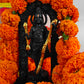 Prana Pratishthit Ram Lalla Idol from Ayodhya