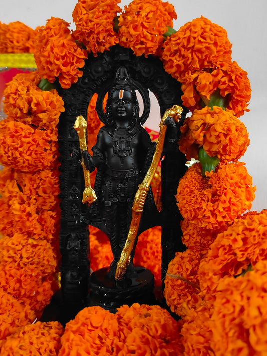 Prana Pratishthit Ram Lalla Idol from Ayodhya